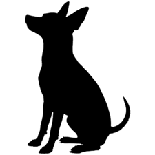 ハウスクリーニング HOUSE Dr.chloe